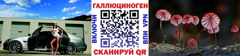 KRAKEN как зайти  Лысково  Псилоцибиновые грибы Psilocybe 